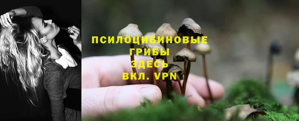 СК Магадан