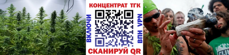 Дистиллят ТГК Wax Шахунья
