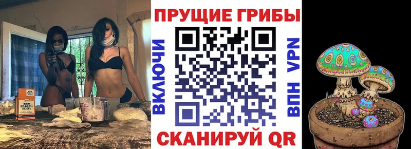 Галлюциногенные грибы прущие грибы  кракен ССЫЛКА  Шахунья  как найти  